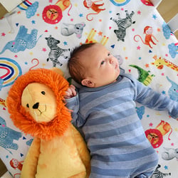 CUDDLE-CRIB-SHEET-2023