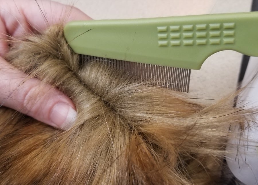 How to Sew and Blend Faux Fur Seams