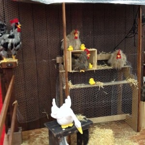 Chickencoop