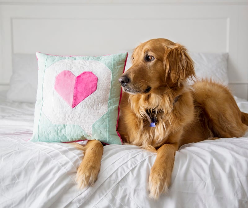 I Heart You Quilt Block in Cuddle with Oscar on bed - dogs love Cuddle