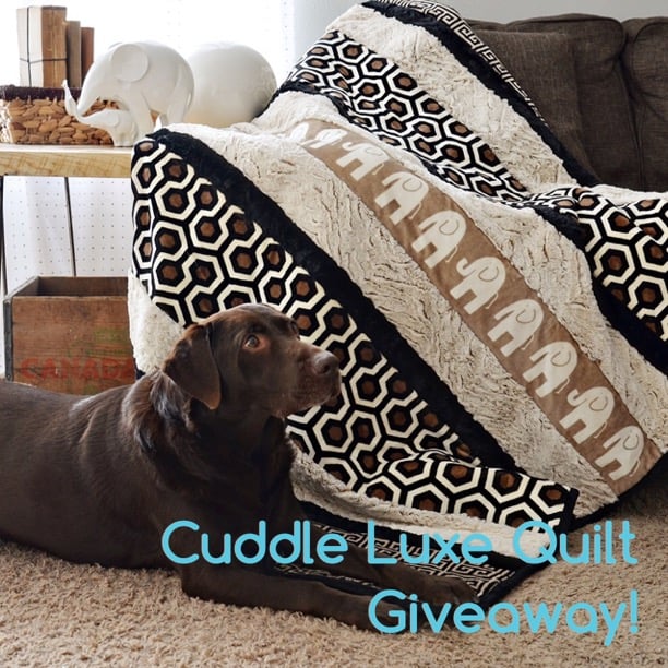 Cuddle Luxe Quilt Giveaway