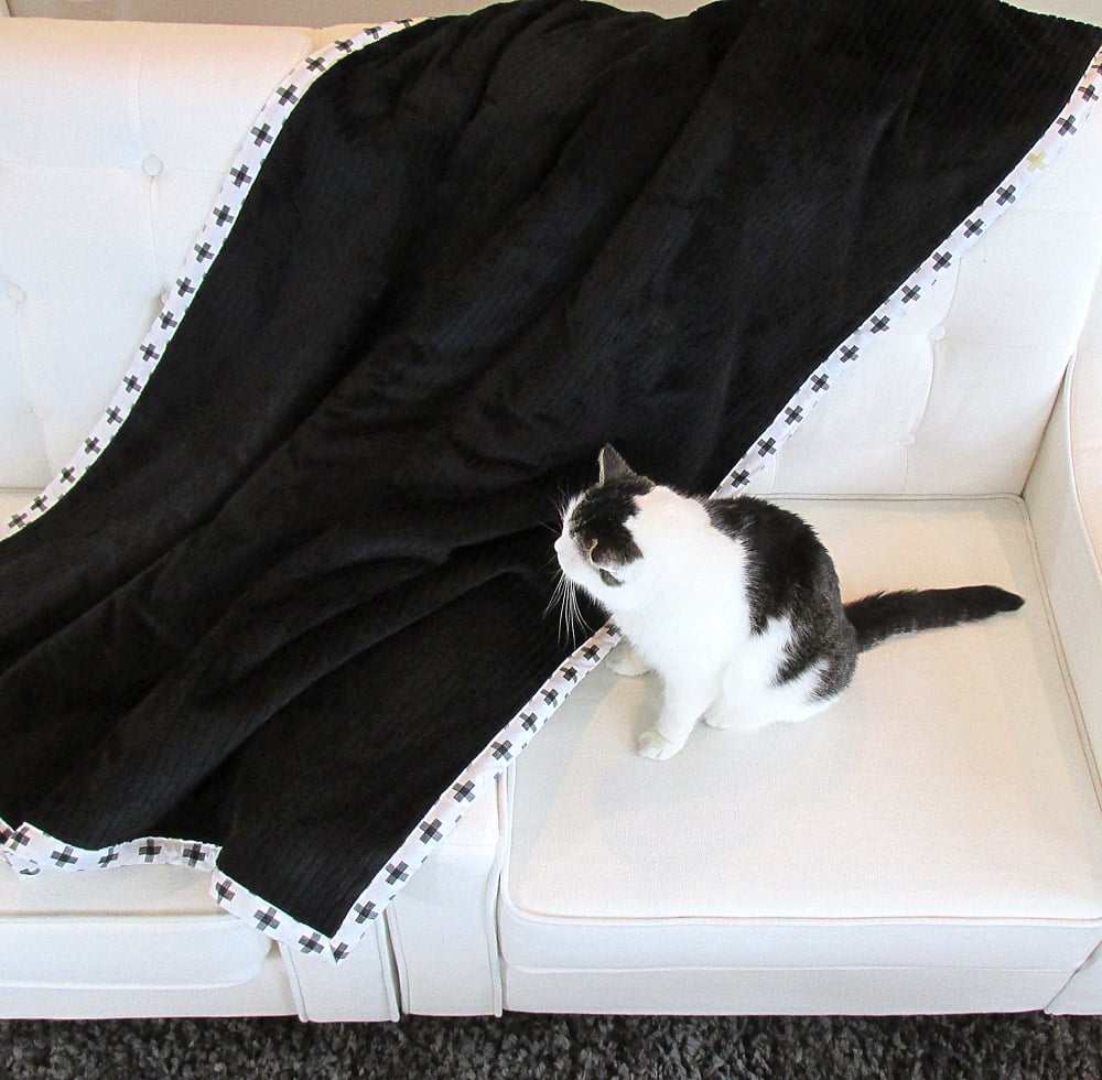 cat on Cuddle Blanket