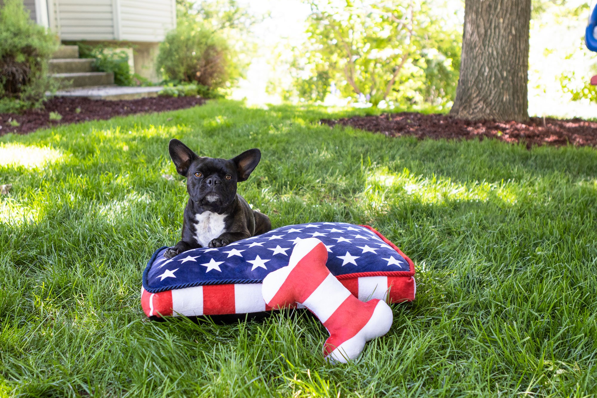 dog-bed-2_web